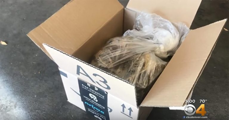 Hur Länge är Ett Paket På Posten